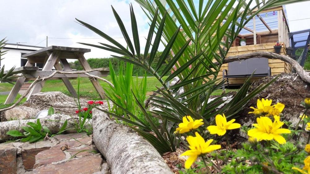 Greenways Valley Holiday Park Great Torrington Exterior photo